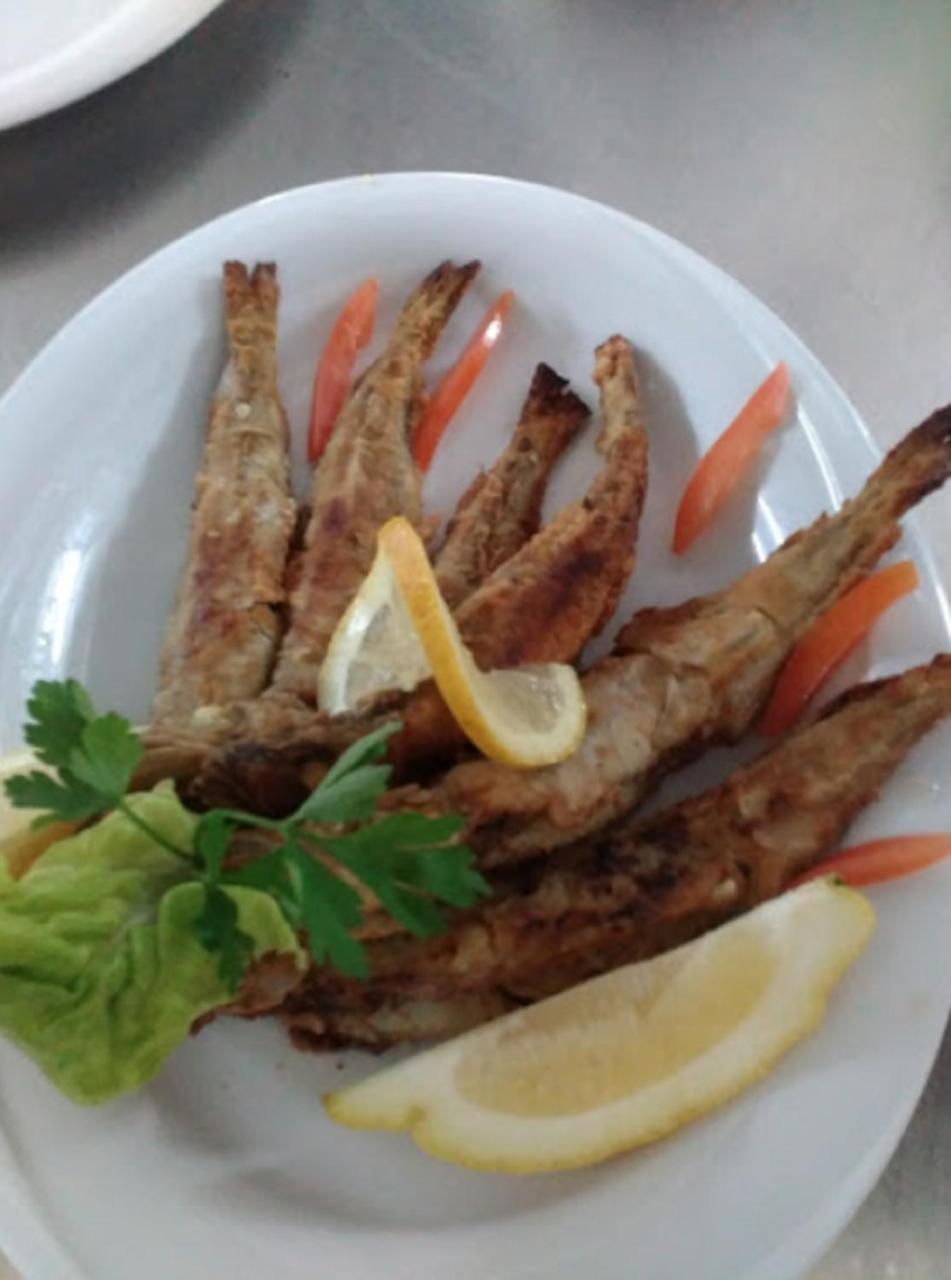 Algiers Rais酒店 外观 照片